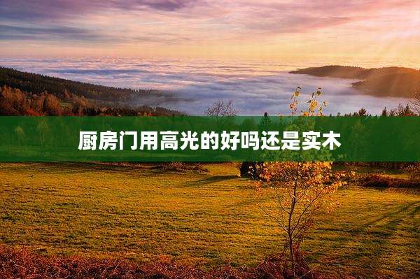 厨房门用高光的好吗还是实木