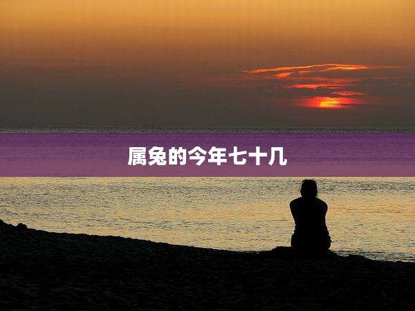 属兔的今年七十几