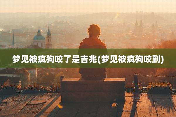 梦见被疯狗咬了是吉兆(梦见被疯狗咬到)