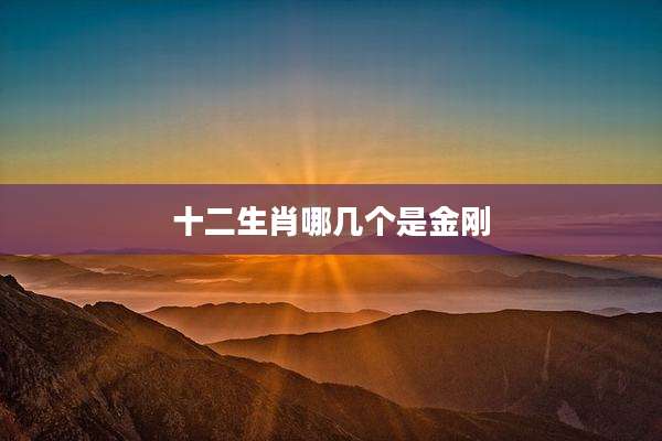 十二生肖哪几个是金刚