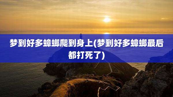 梦到好多蟑螂爬到身上(梦到好多蟑螂最后都打死了)