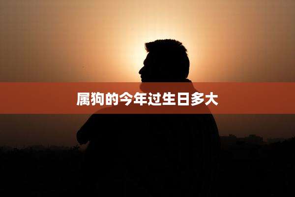 属狗的今年过生日多大