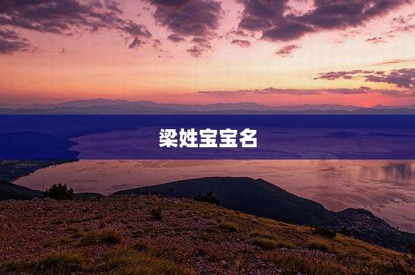 梁姓宝宝名