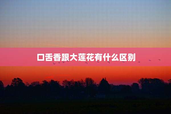 口舌香跟大莲花有什么区别