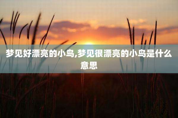 梦见好漂亮的小鸟,梦见很漂亮的小鸟是什么意思