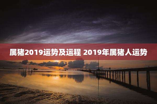 属猪2019运势及运程 2019年属猪人运势
