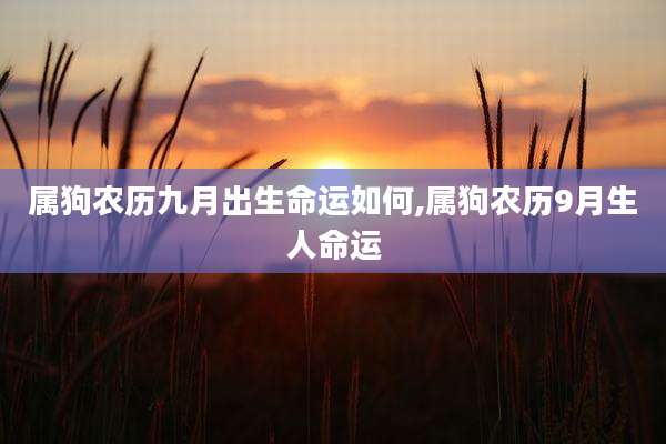属狗农历九月出生命运如何,属狗农历9月生人命运