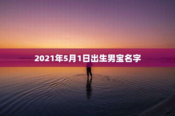 2021年5月1日出生男宝名字