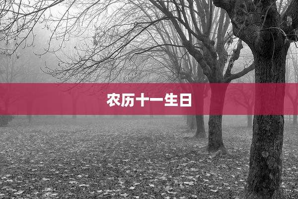 农历十一生日