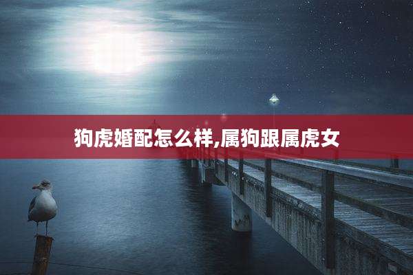 狗虎婚配怎么样,属狗跟属虎女