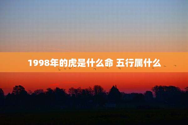 1998年的虎是什么命 五行属什么