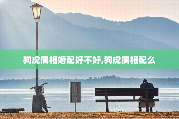 狗虎属相婚配好不好,狗虎属相配么