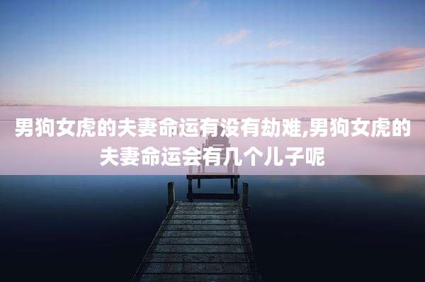 男狗女虎的夫妻命运有没有劫难,男狗女虎的夫妻命运会有几个儿子呢