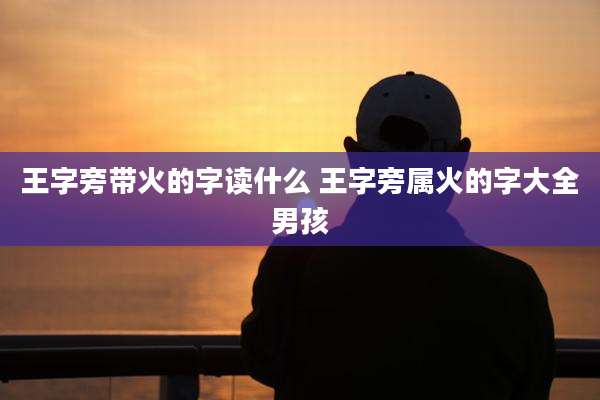 王字旁带火的字读什么 王字旁属火的字大全男孩