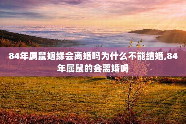 84年属鼠姻缘会离婚吗为什么不能结婚,84年属鼠的会离婚吗