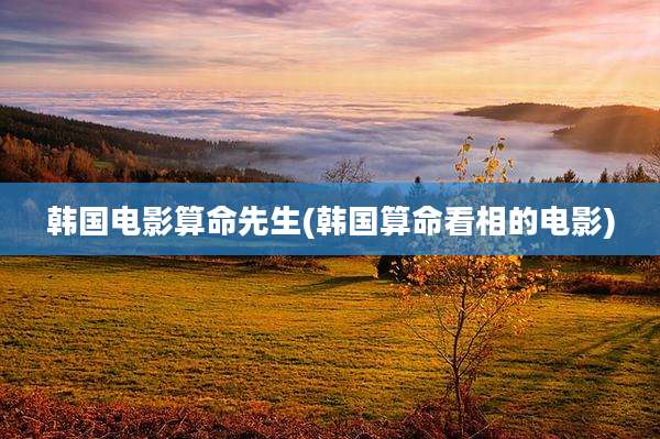 韩国电影算命先生(韩国算命看相的电影)