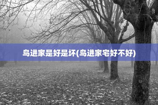 鸟进家是好是坏(鸟进家宅好不好)
