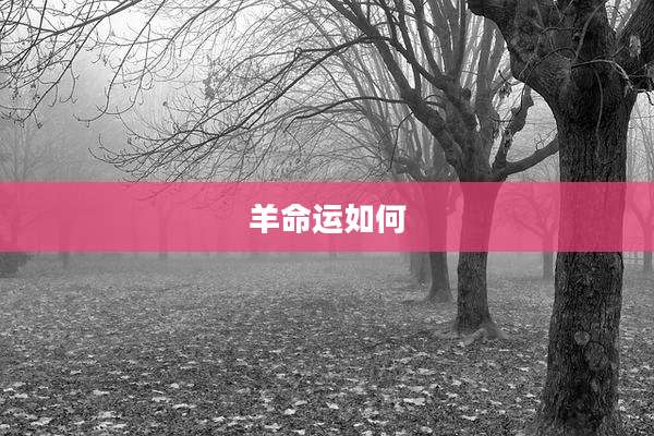 羊命运如何