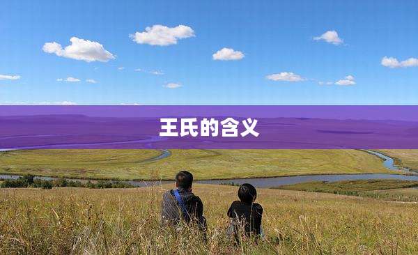 王氏的含义