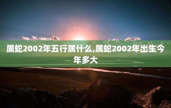 属蛇2002年五行属什么,属蛇2002年出生今年多大