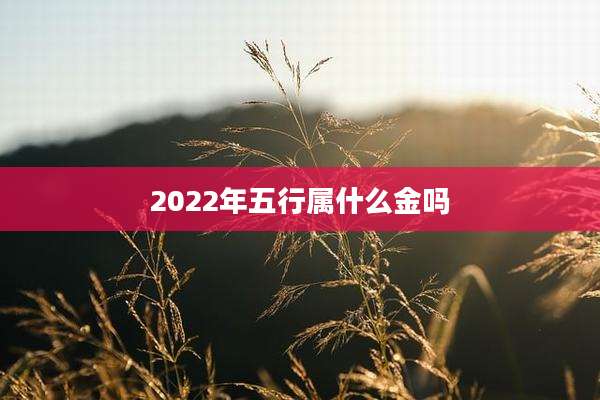 2022年五行属什么金吗