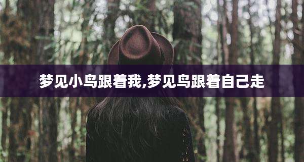 梦见小鸟跟着我,梦见鸟跟着自己走