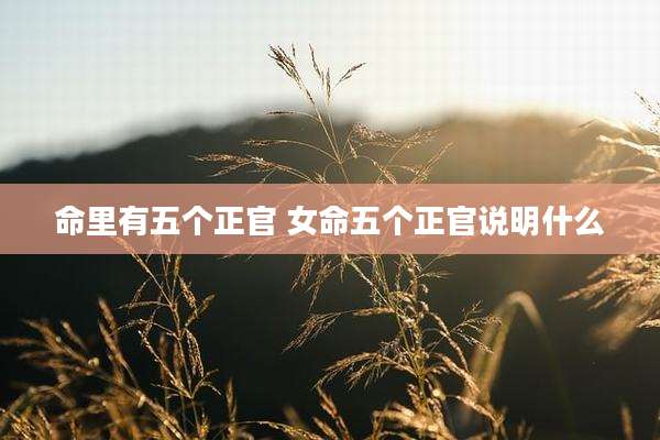命里有五个正官 女命五个正官说明什么
