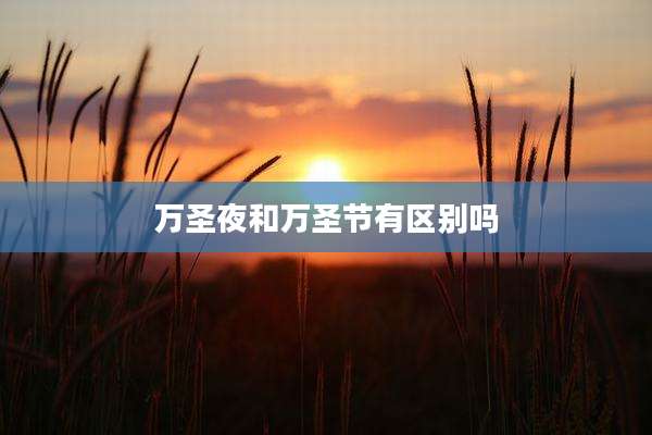 万圣夜和万圣节有区别吗