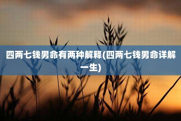四两七钱男命有两种解释(四两七钱男命详解一生)