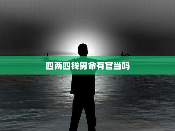 四两四钱男命有官当吗
