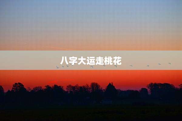 八字大运走桃花
