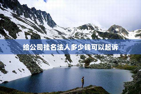 给公司挂名法人多少钱可以起诉