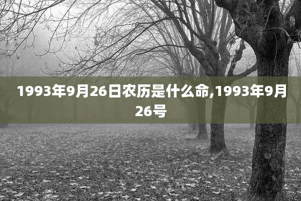 1993年9月26日农历是什么命,1993年9月26号