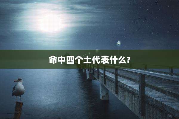 命中四个土代表什么?
