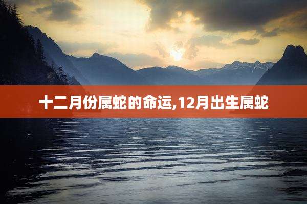 十二月份属蛇的命运,12月出生属蛇