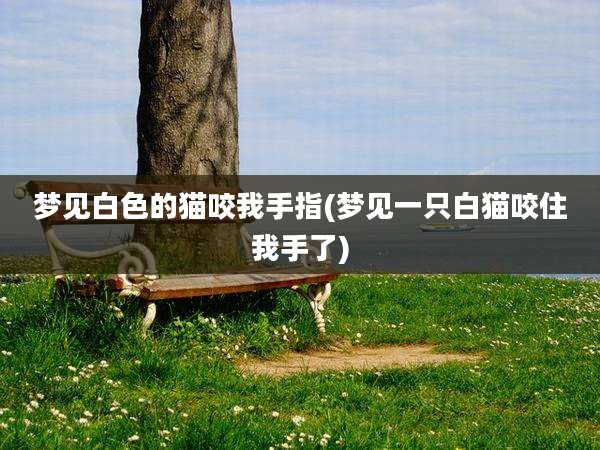 梦见白色的猫咬我手指(梦见一只白猫咬住我手了)