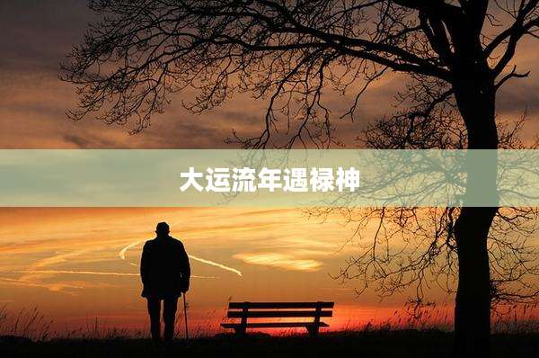 大运流年遇禄神