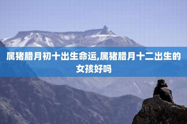 属猪腊月初十出生命运,属猪腊月十二出生的女孩好吗