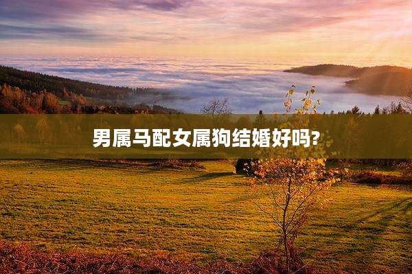 男属马配女属狗结婚好吗?