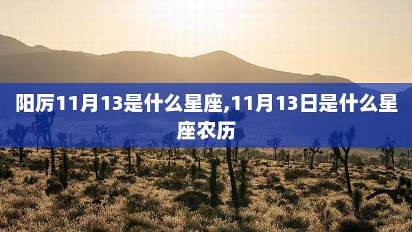 阳厉11月13是什么星座,11月13日是什么星座农历