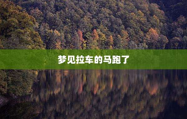 梦见拉车的马跑了