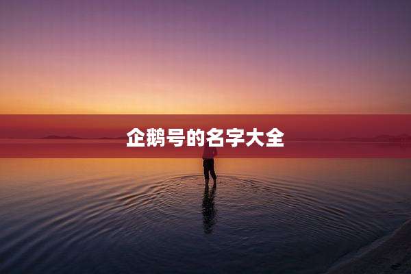 企鹅号的名字大全