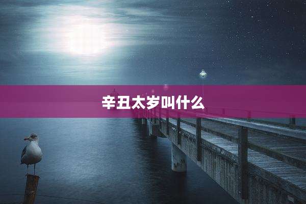辛丑太岁叫什么