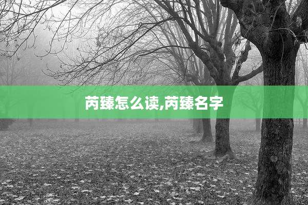 芮臻怎么读,芮臻名字