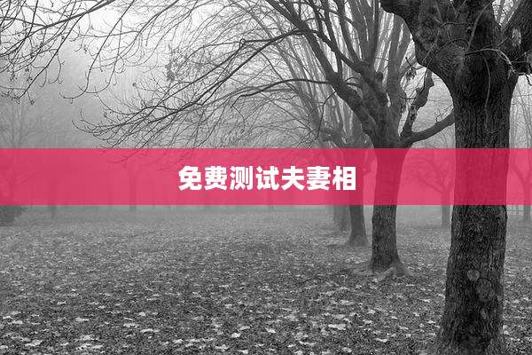 免费测试夫妻相