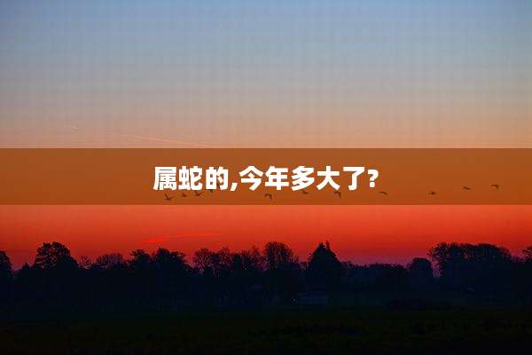 属蛇的,今年多大了?