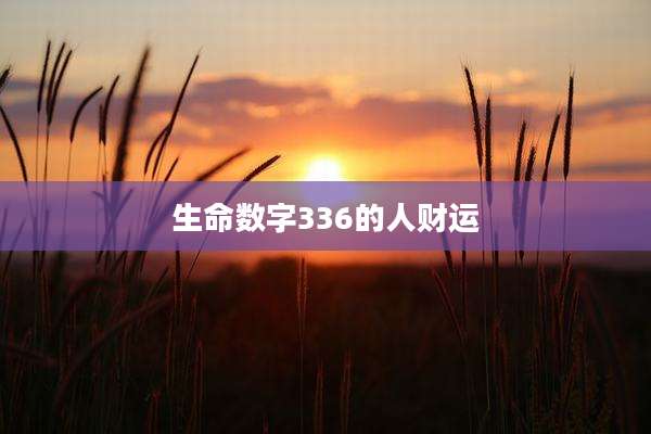生命数字336的人财运
