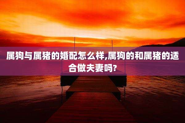 属狗与属猪的婚配怎么样,属狗的和属猪的适合做夫妻吗?