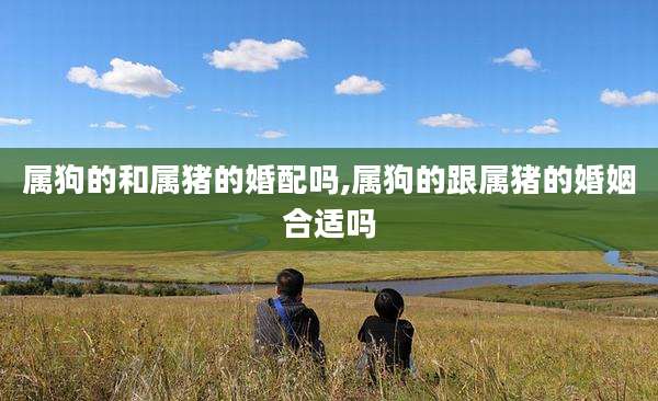 属狗的和属猪的婚配吗,属狗的跟属猪的婚姻合适吗