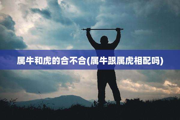 属牛和虎的合不合(属牛跟属虎相配吗)